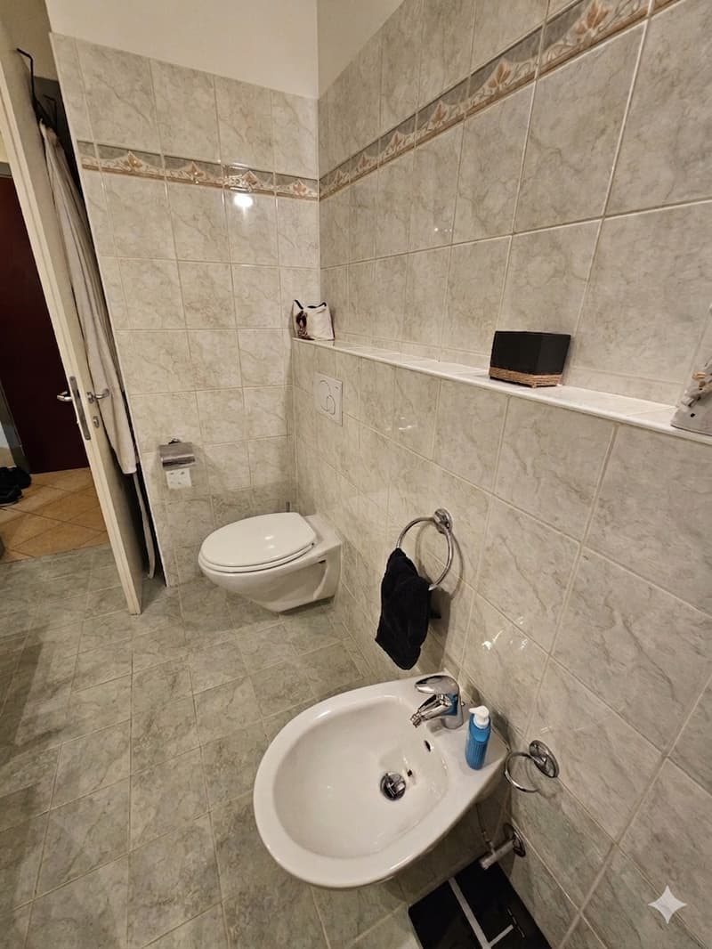 AGNO - AFFITTASI APPARTAMENTO DI 2 LOCALI (6)