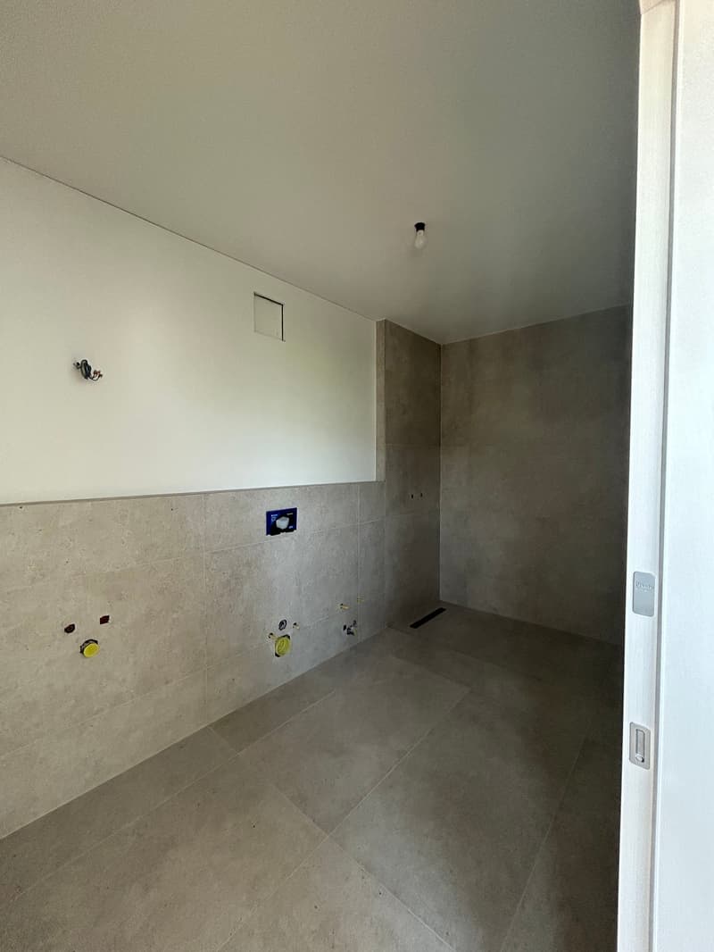 MASSAGNO - affittasi luminoso attico (8)