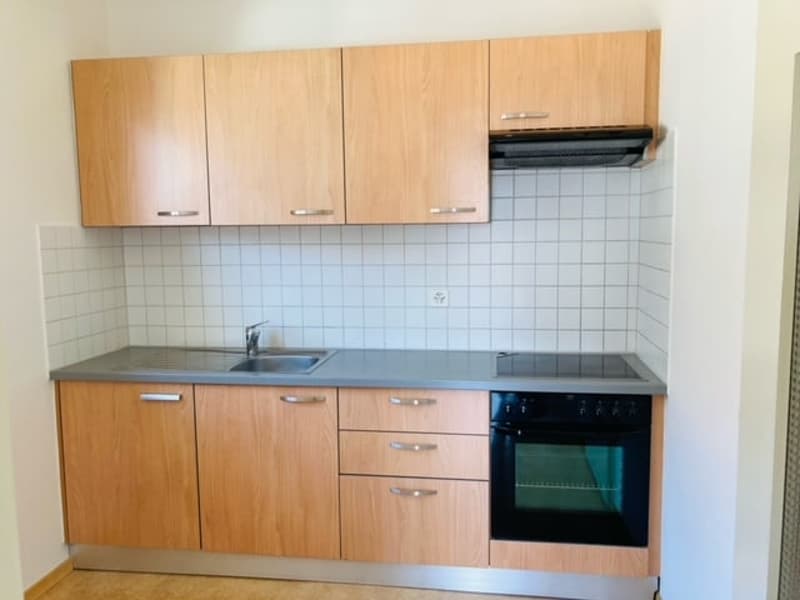 BELLINZONA - vendesi apartamento di 3.5 locali (6)