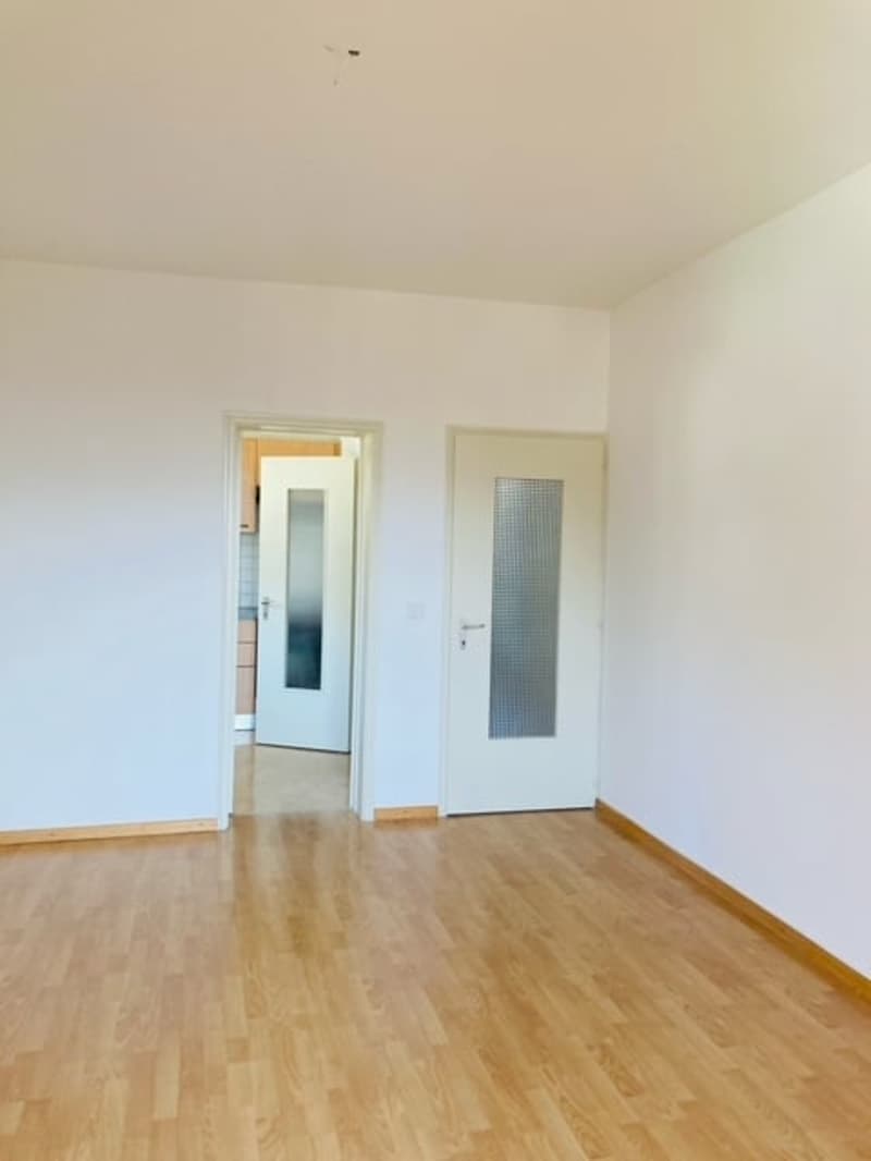 BELLINZONA - vendesi apartamento di 3.5 locali (2)
