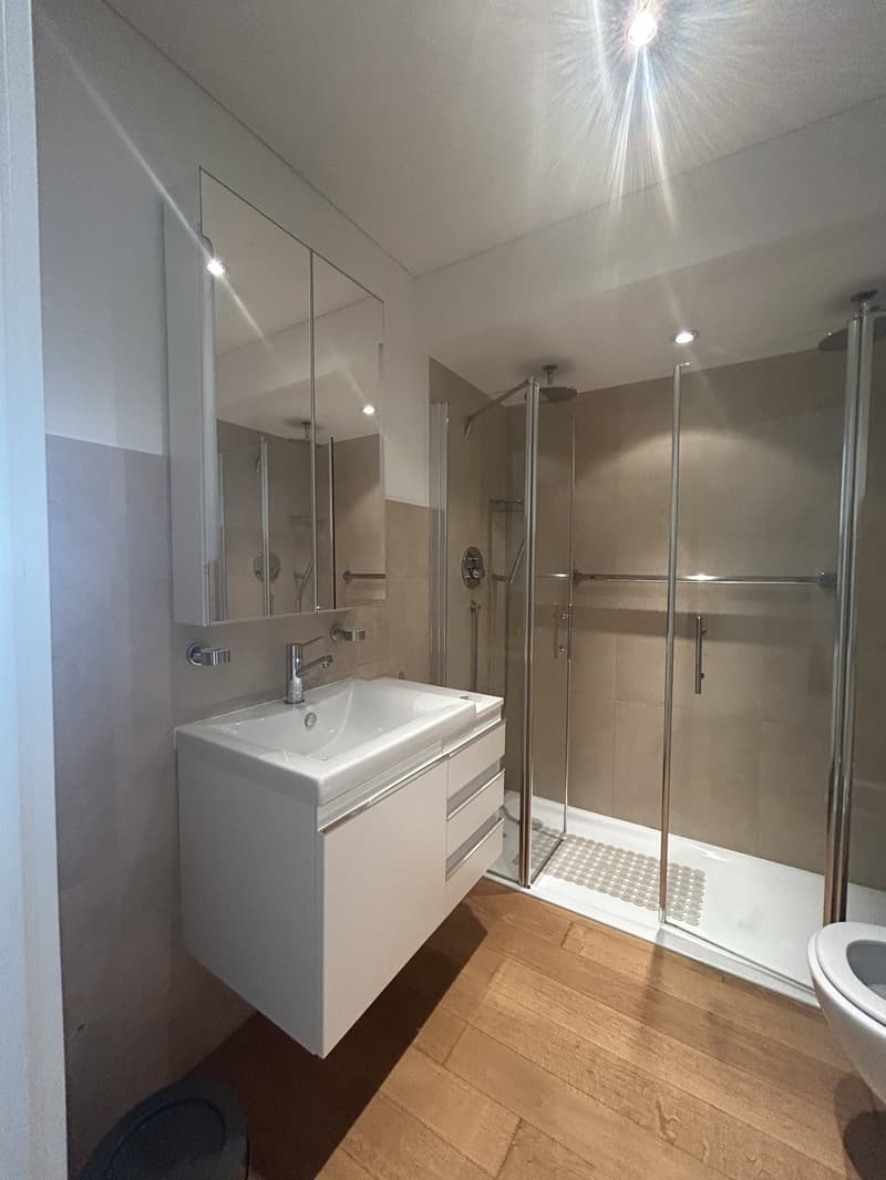 Elegante appartamento di 4.5 locali con vista lago a Lugano (9)