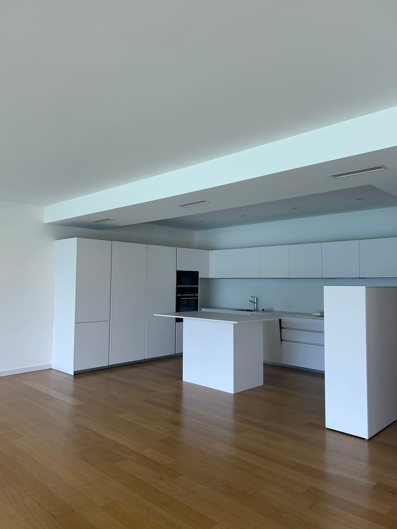 Elegante appartamento di 4.5 locali con vista lago a Lugano (3)