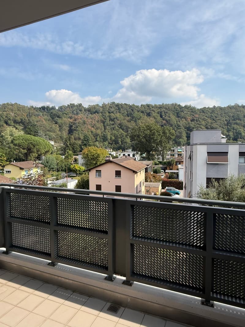 LAMONE - AFFITTASI APPARTAMENTO DI 4.5 LOCALI (4)