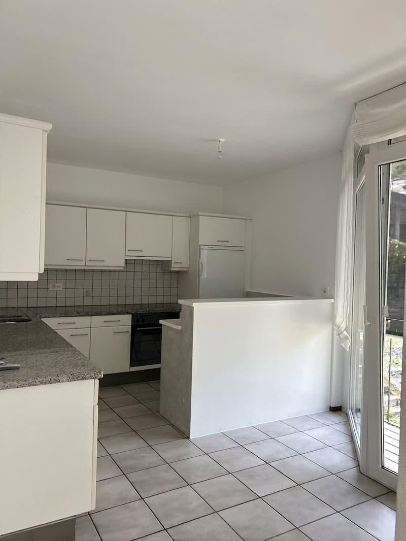 CAPRIASCA - AFFITTASI CASA UNIFAMILIARE CON GIARDINO (4)