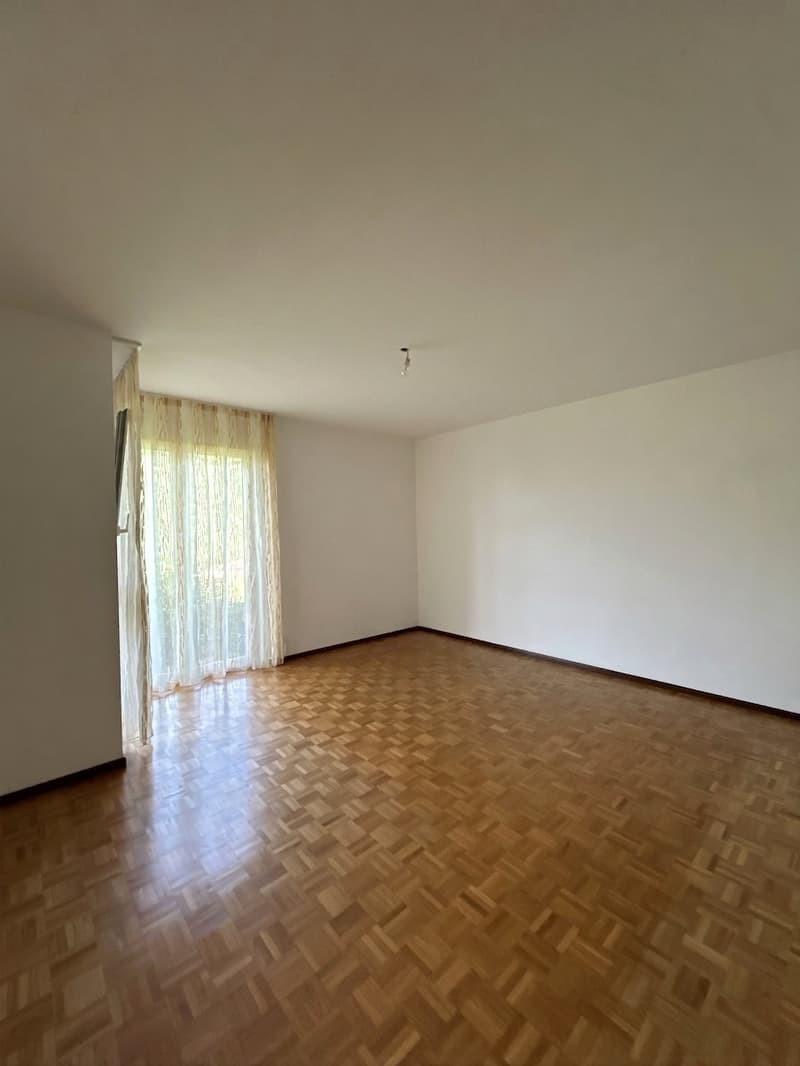 CAPRIASCA - AFFITTASI CASA UNIFAMILIARE CON GIARDINO (13)