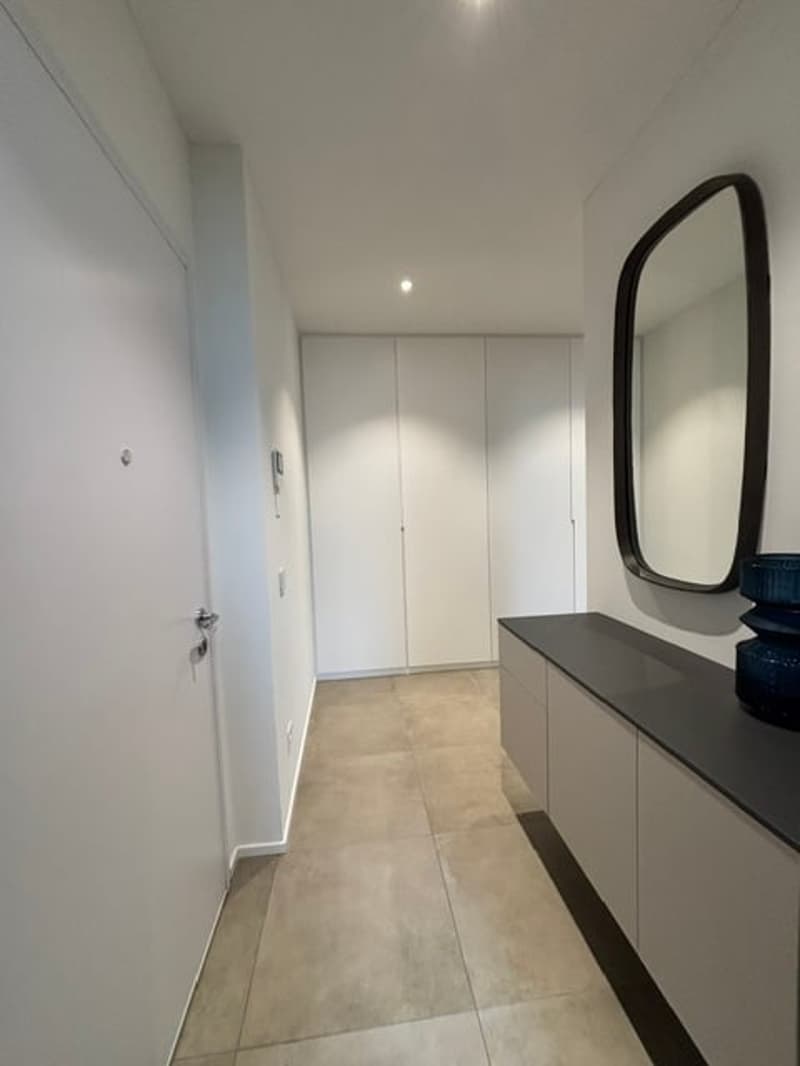 Appartamento arredato di 2.5 locali in nuova costruzione a Bellinzona (7)