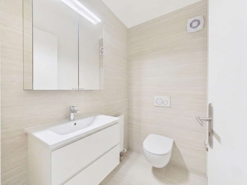 Affittasi 4.5 locali completamente ristrutturato al quarto piano (7)