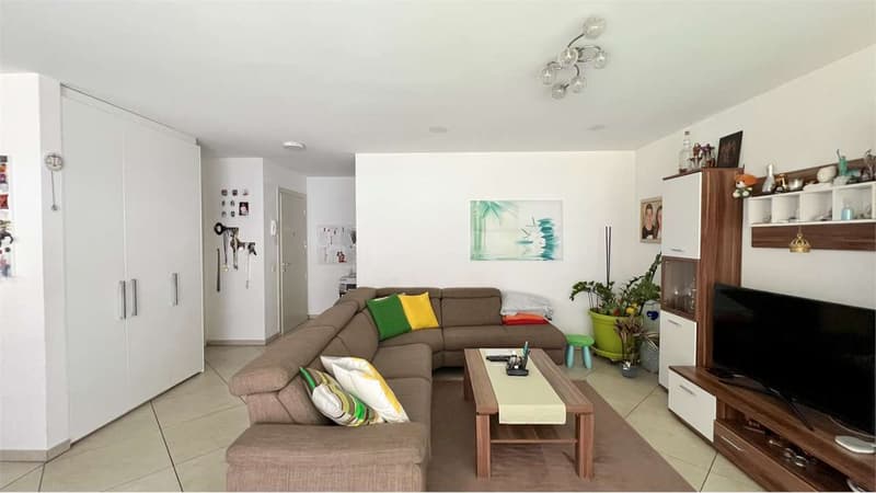 Cadenazzo -Moderno 4.5 con grande giardino privato (5)