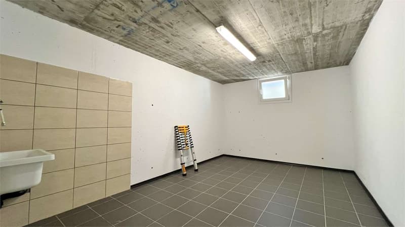 Cadenazzo -Moderno 4.5 con grande giardino privato (10)