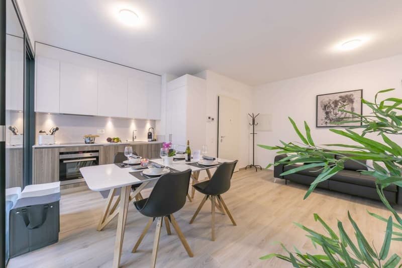 Viganello - Moderno appartamento 2.5 Locali (3)