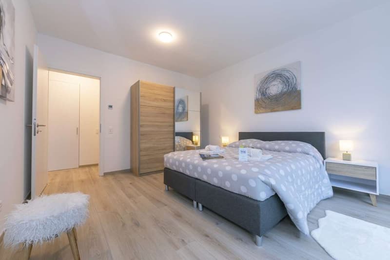 Viganello - Moderno appartamento 2.5 Locali (7)