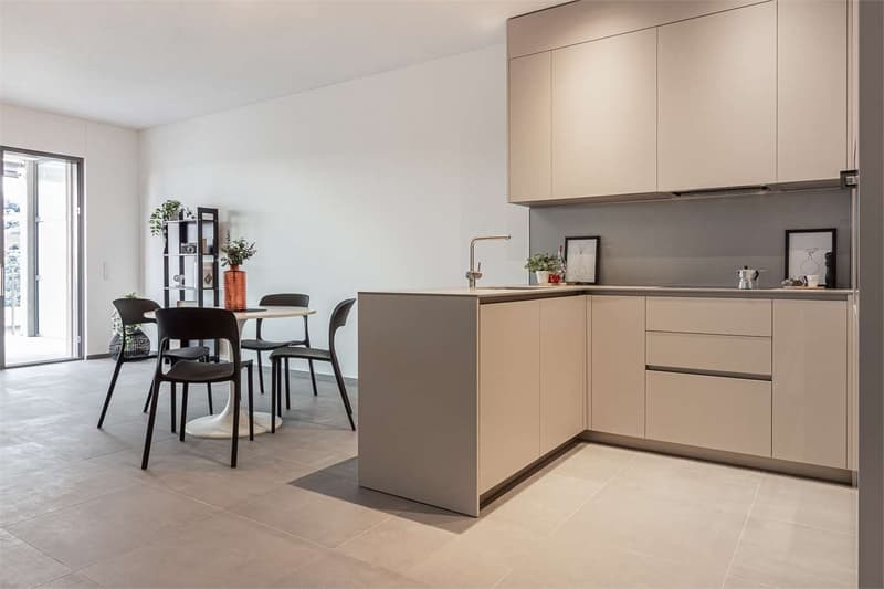 Pregassona - Nuovi appartamenti 3.5 Locali (3)