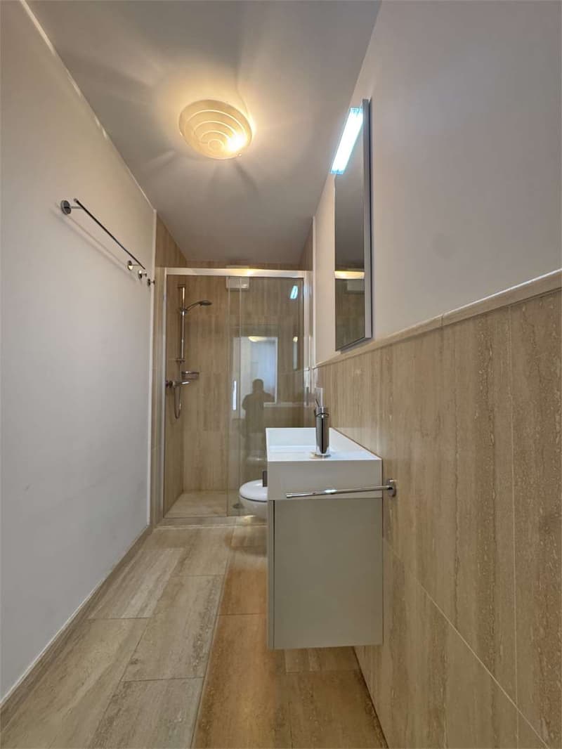 Luminoso appartamento duplex 5.5 locali con mansarda (11)