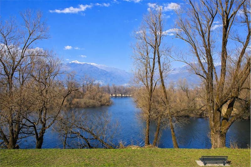 Magadino - 3.5 con giardino privato, vicino al lago - investimento ide (12)