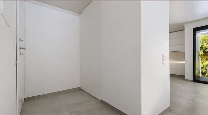 Pregassona - Splendido 2.5 locali (3)
