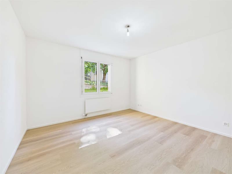 Spettacolare 2.5 locali completamente ristrutturato (8)