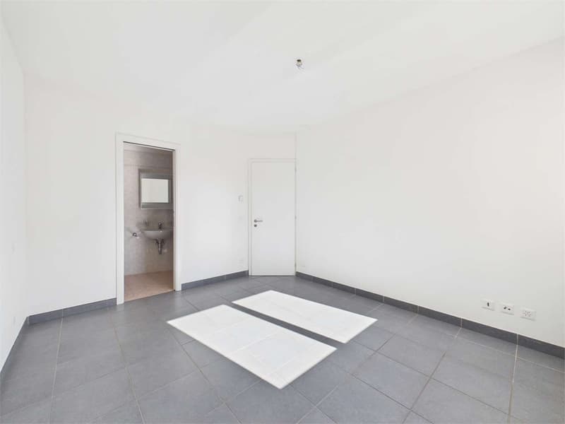 Ampio 3.5 Locali a Pregassona (8)