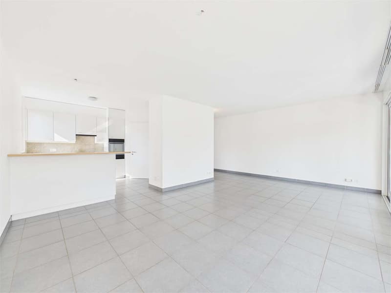 Ampio 3.5 Locali a Pregassona (2)