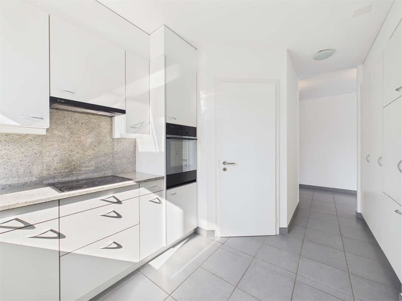 Ampio 3.5 Locali a Pregassona (6)