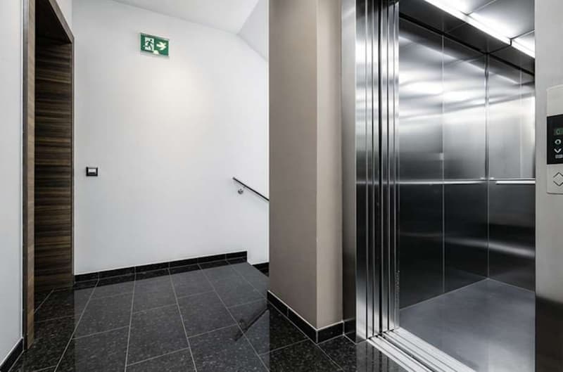 Pregassona - Splendido 2.5 locali (8)