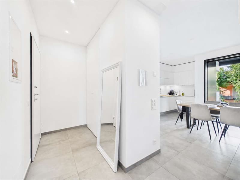 Pregassona - Splendido 2.5 locali (3)