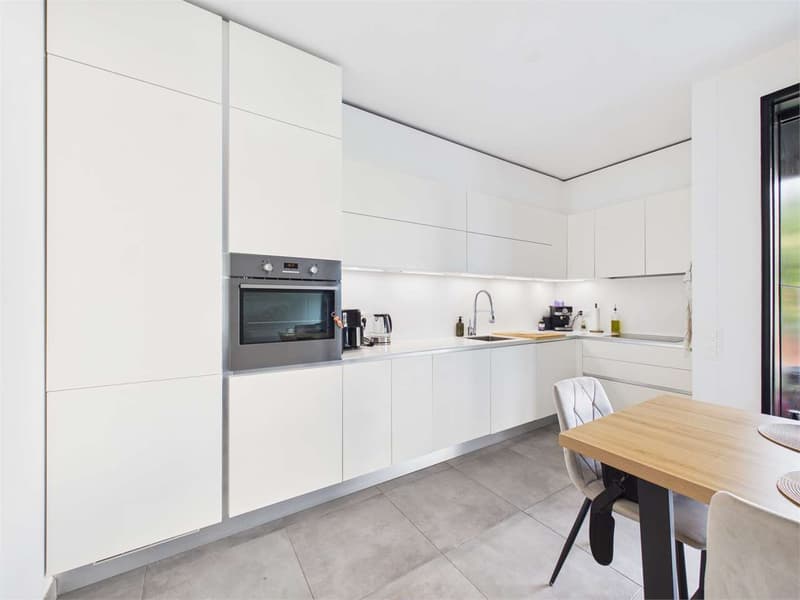 Pregassona - Splendido 2.5 locali (2)