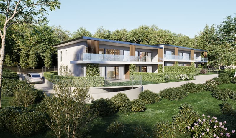 Elegante 3.5 locali con giardino e vista lago (5)