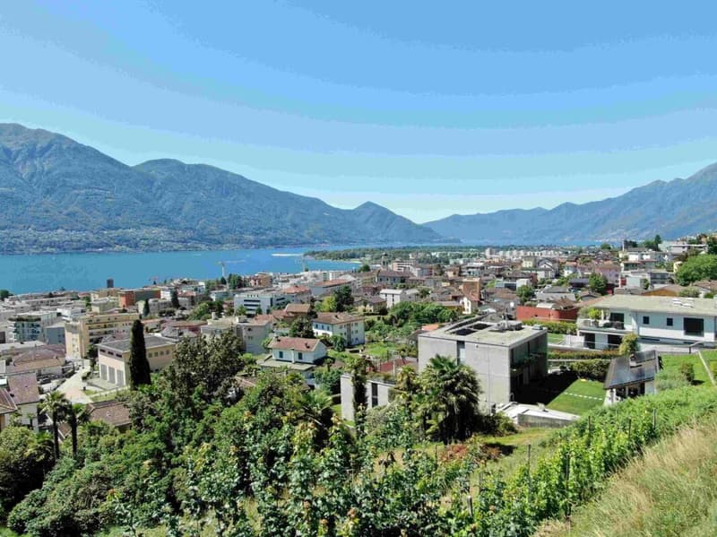 Ultima occasione: magnifico 3.5 locali con ampia terrazza, vista lago, wellness e piscina (8)
