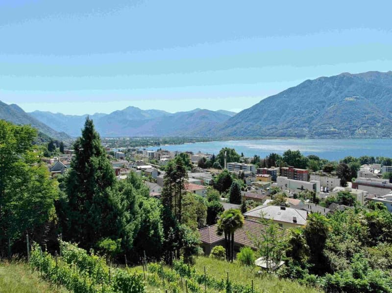 Ultima occasione: magnifico 3.5 locali con ampia terrazza, vista lago, wellness e piscina (2)