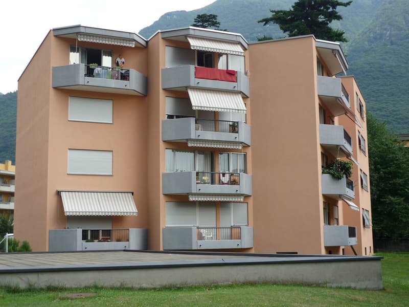 Bellinzona, luminoso appartamento 3.5 locali (1)