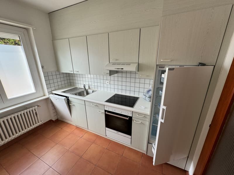 Balerna, ampio e luminoso appartamento di 6.5 locali con cucina separata e terrazzo (1)