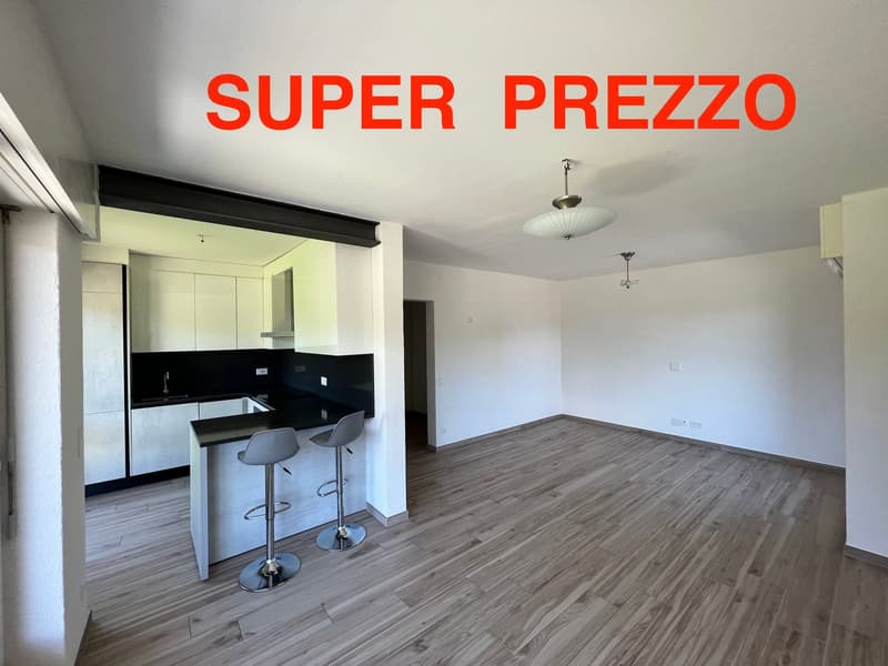 Pazzallo - Lugano perfetto appartamento di 5.5 locali con terrazzi e posto auto in garage (1)
