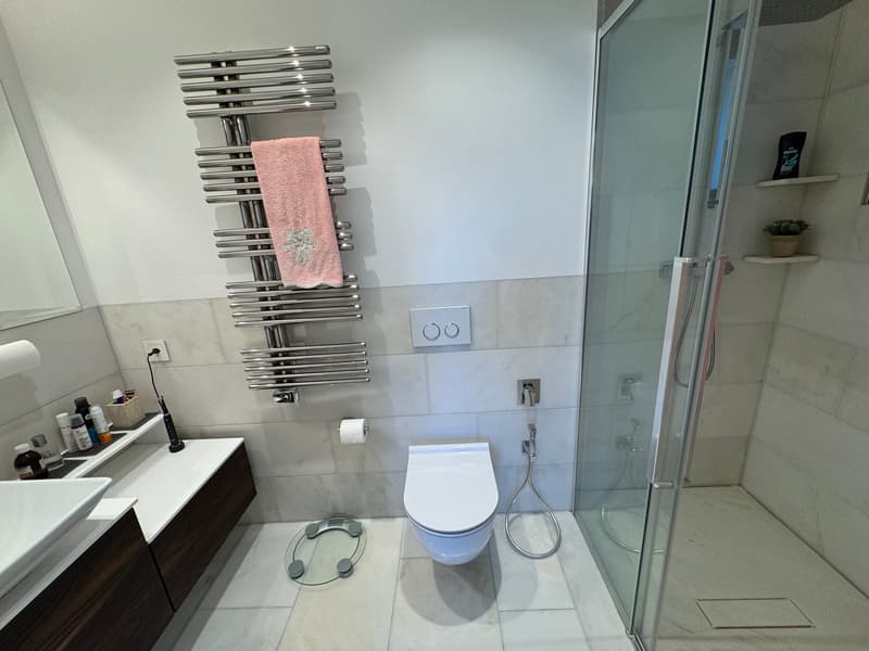 Modern bathroom with a toilet, shower enclosure, vanity with a sink, and a towel rack with a towel.