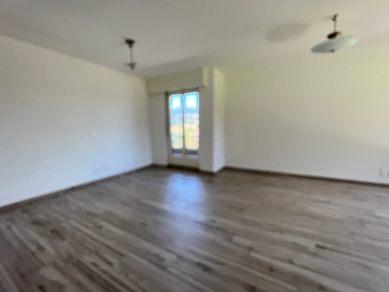 empty room, wooden floor, white walls, glass door, ceiling lamps