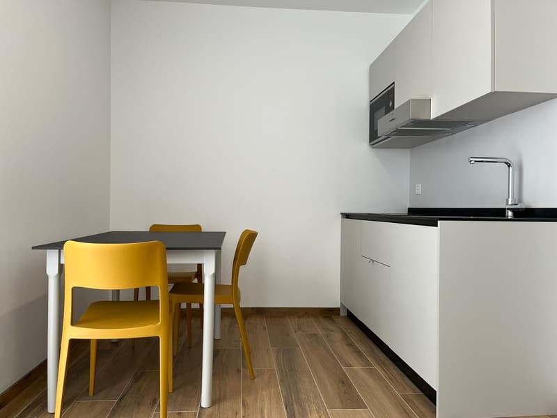 Mendrisio, nuovi appartamenti monolocali (3)
