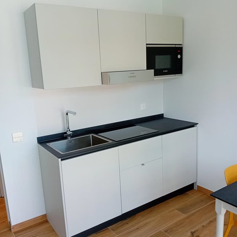 Mendrisio, nuovi appartamenti monolocali (14)