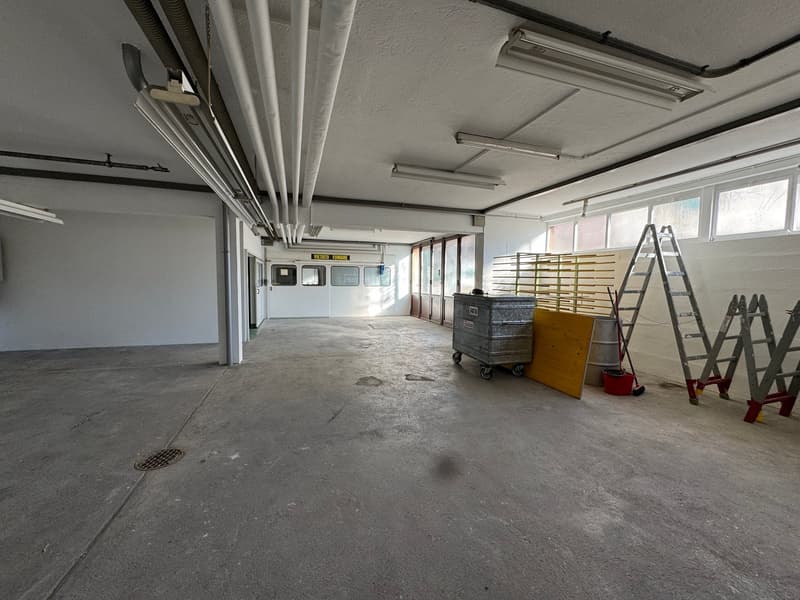 Vendesi o Affittasi Immobile Artigianale / commerciale / amministrativo con Uffici a Balerna (27)