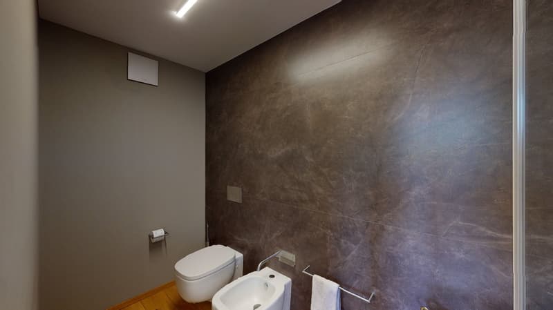 Mendrisio, raffinata villa singola con piscina (34)