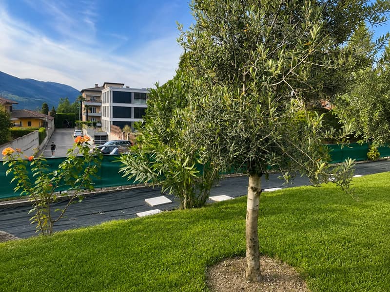 NUOVO POSIZIONAMENTO SUL MERCATO - Villa indipendente d’epoca con giardino nel centro di Mendrisio (11)