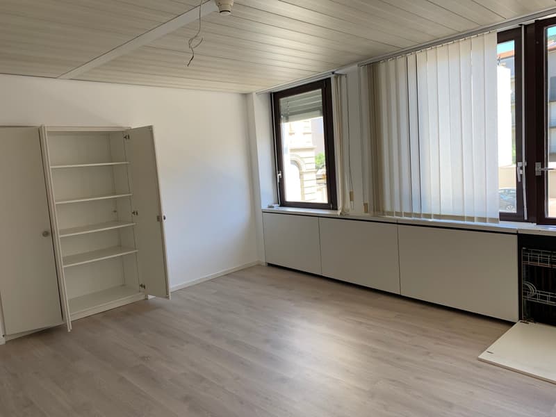 PALAZZINA DI UFFICI A REDDITO POSSIBILE ACQUISTO PER CITTADINI STRANIERI NON RESIDENTI IN SVIZZERA (2)