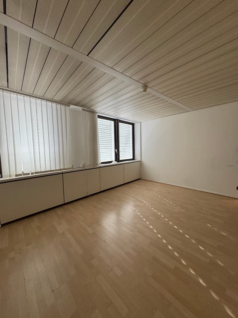 PALAZZINA DI UFFICI A REDDITO POSSIBILE ACQUISTO PER CITTADINI STRANIERI NON RESIDENTI IN SVIZZERA (24)