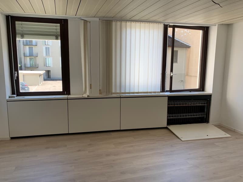 PALAZZINA DI UFFICI A REDDITO POSSIBILE ACQUISTO PER CITTADINI STRANIERI NON RESIDENTI IN SVIZZERA (4)