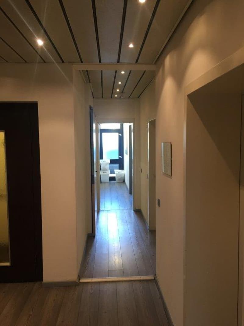 PALAZZINA DI UFFICI A REDDITO POSSIBILE ACQUISTO PER CITTADINI STRANIERI NON RESIDENTI IN SVIZZERA (17)