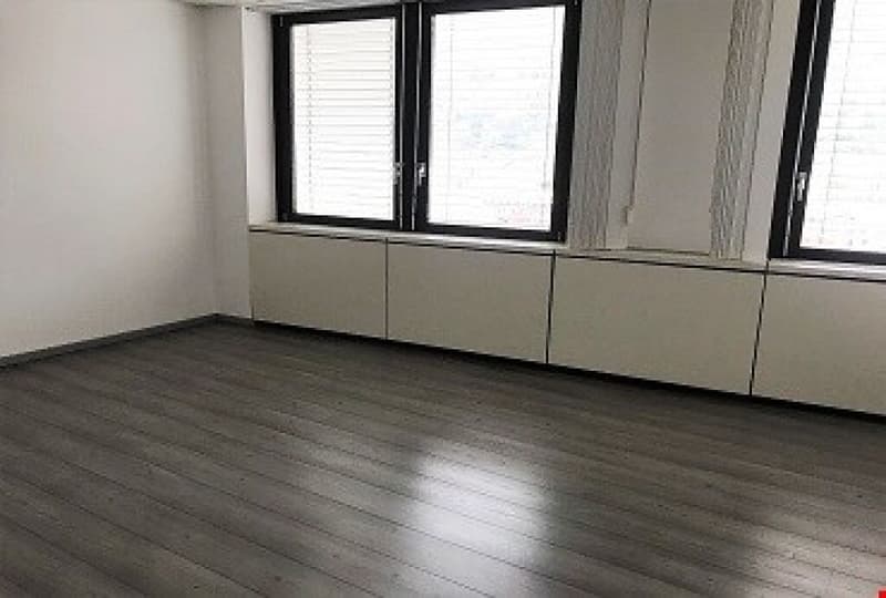 PALAZZINA DI UFFICI A REDDITO POSSIBILE ACQUISTO PER CITTADINI STRANIERI NON RESIDENTI IN SVIZZERA (27)