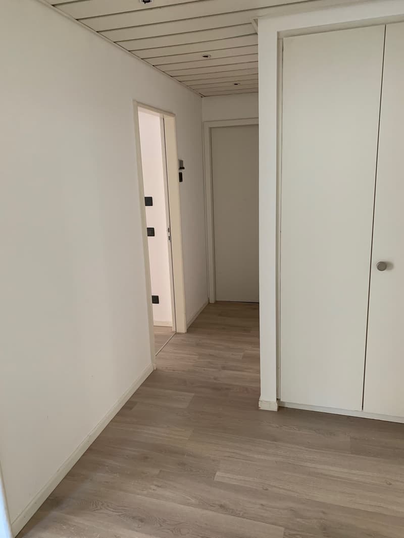 PALAZZINA DI UFFICI A REDDITO POSSIBILE ACQUISTO PER CITTADINI STRANIERI NON RESIDENTI IN SVIZZERA (10)