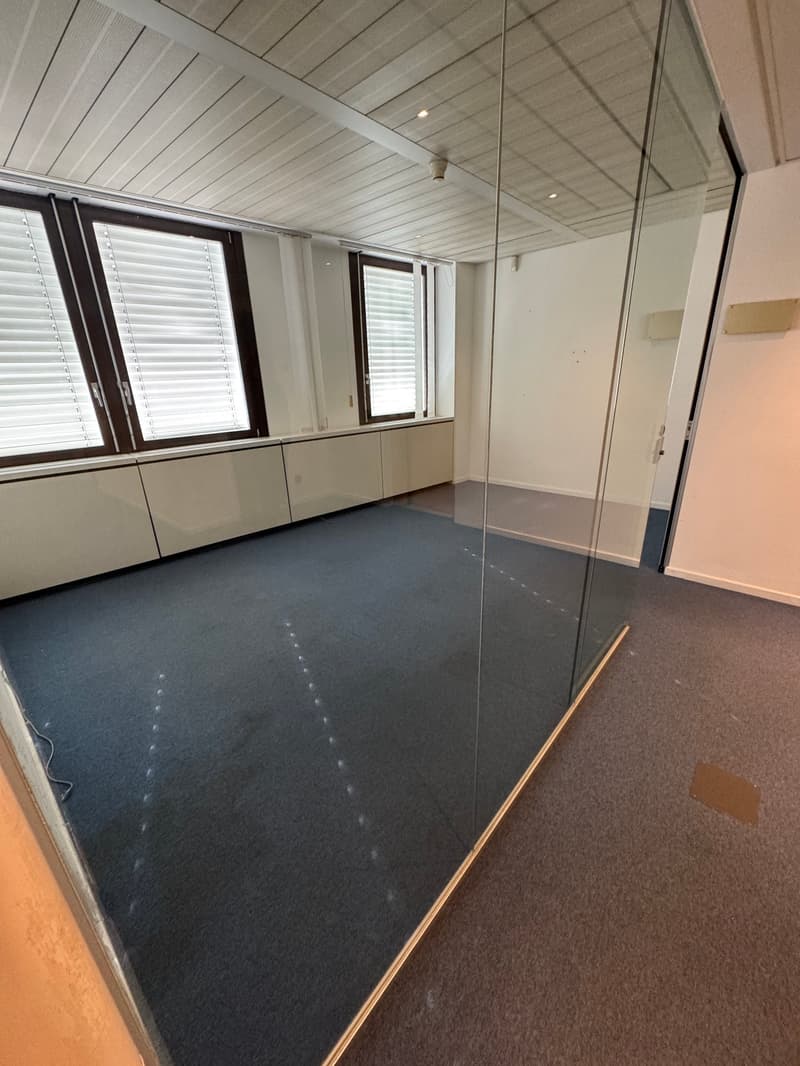 PALAZZINA DI UFFICI A REDDITO POSSIBILE ACQUISTO PER CITTADINI STRANIERI NON RESIDENTI IN SVIZZERA (25)