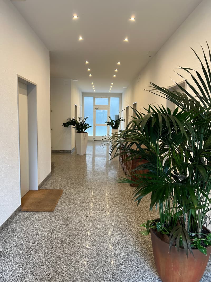 Chiasso, elegante e recente ufficio con posto auto coperto (1)