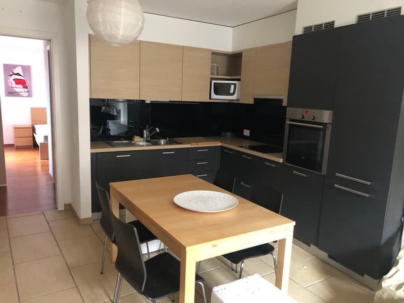 Luminoso appartamento di 3.5 locali in affitto a Mendrisio (2)