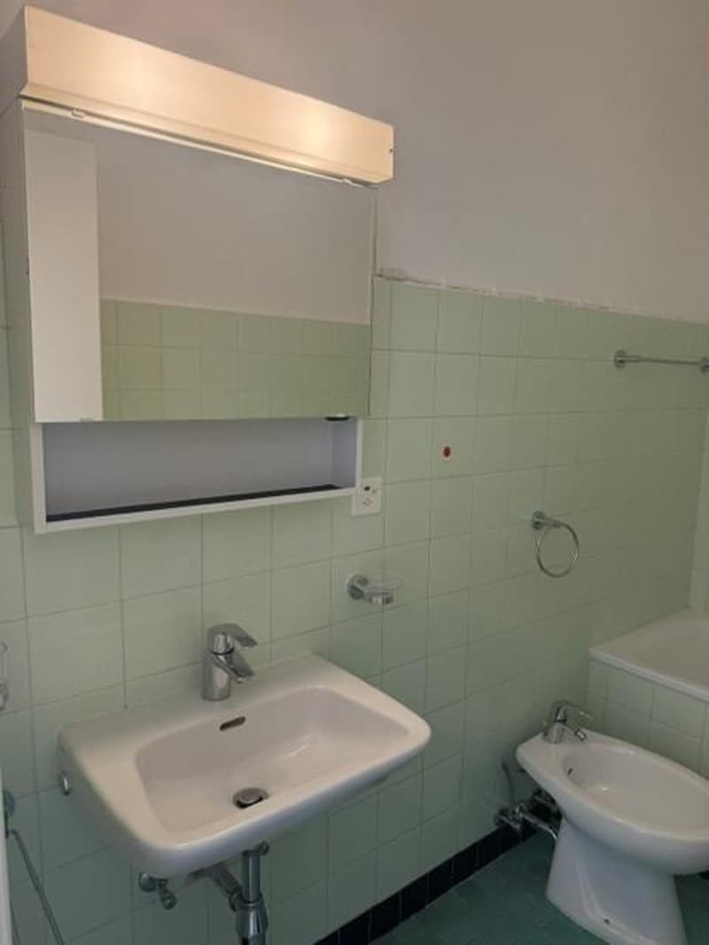 Appartamento di 3 locali in affitto a Mendrisio (5)
