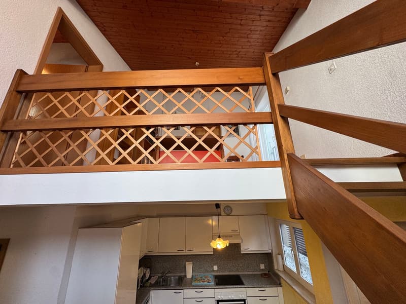 Duplex in locazione con 2 camere e studio – Cadro (3)